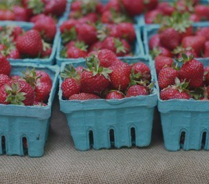 Why a Strawberry Festival in Crawfordsville?