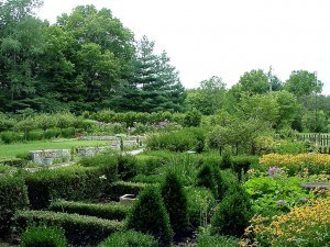 Yountsville Mill (3)