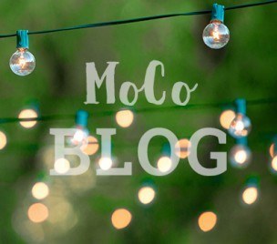 5 Free Things to do in MoCo