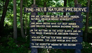 Pine Hills Nature Preserve
