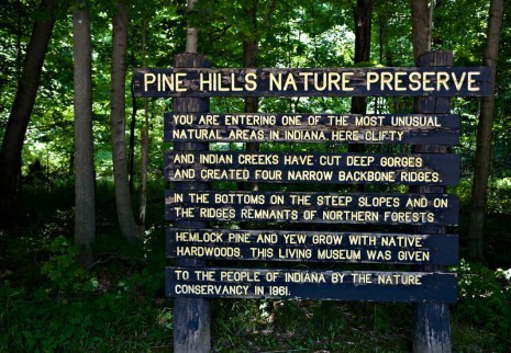 Pine Hills Nature Preserve