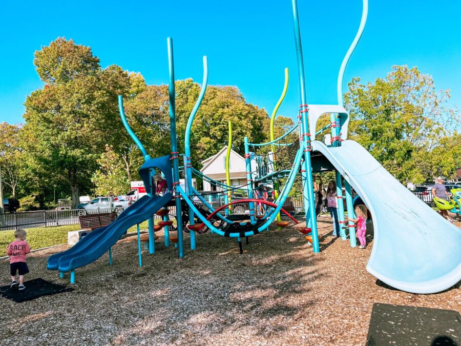 Children playing on playground at Frances Wooden Park