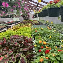 Ryan's Flowers Flower Garden