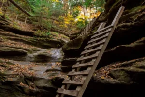 A wooden ladder leading up over a cliff with forest seen above